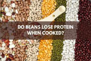 Do Beans Lose Protein When Cooked?