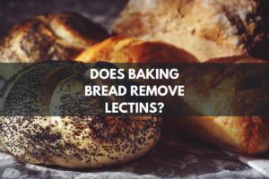 Does Baking Bread Remove Lectins?