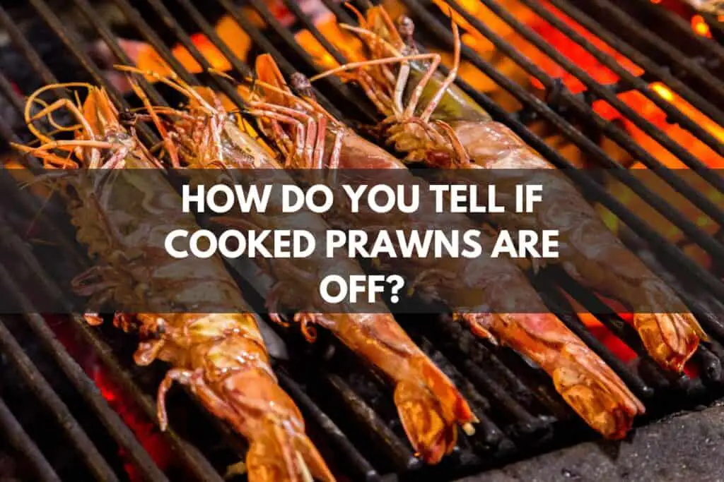 How Do You Tell If Cooked Prawns Are Off?