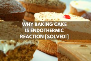 Why Baking Cake Is Endothermic Reaction [Solved!]
